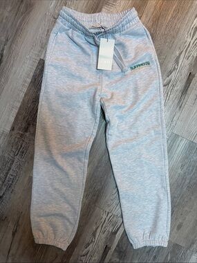 ZARA NWT Light Gray Palm Springs Jogger Pants